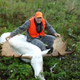 Illustration for article titled These moronic hunters actually shot and killed a rare albino moose